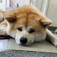 一海さんのアイコン画像