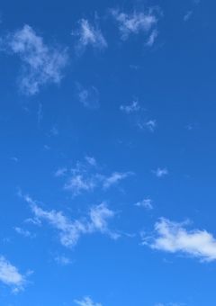 妄想集（短編集）