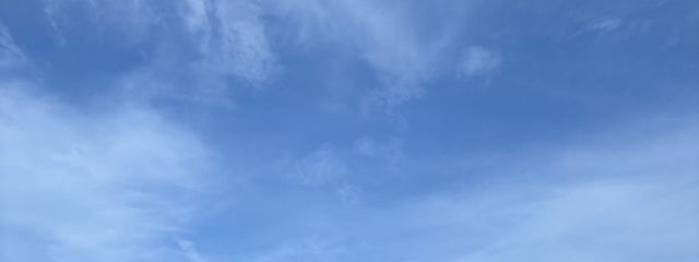 稲さんの壁紙画像