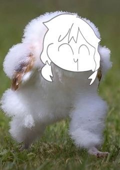 F様100人達成会百人一首(？)