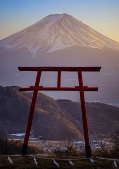 幻想郷の人気者になりました【姉妹が揃ったバージョン】