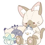 ちまちゅーぶ！【もこた】さんのアイコン画像