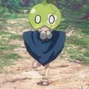 すいか