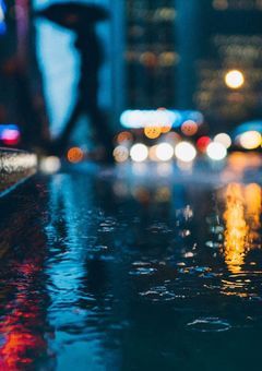 君と僕の生きる道