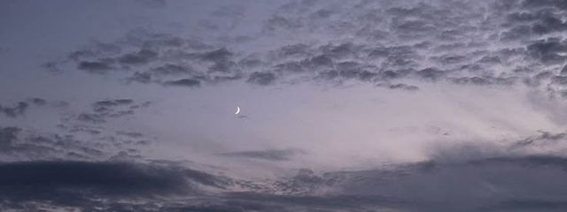 碧鈴さんの壁紙画像