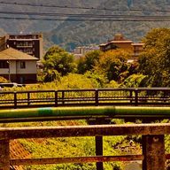 れんか🍀︎✨さんのアイコン画像