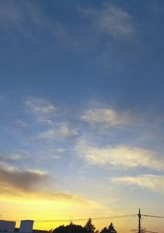 明日の君が例え僕を忘れていても。