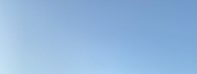 はなさんの壁紙画像