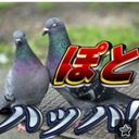 (なまえ)