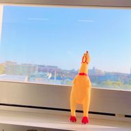 はるさんのアイコン画像