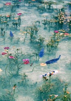 ○o。.水魚之交.。o○