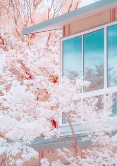 歌 い 手 : T w i t t e r に て 。