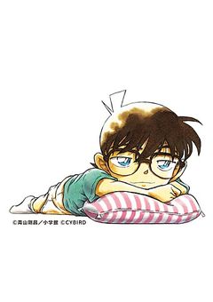 新一の姉は武装探偵社所属