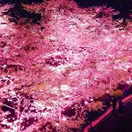 神無月さんのアイコン画像