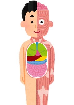 人体模型×男たちの純愛物語