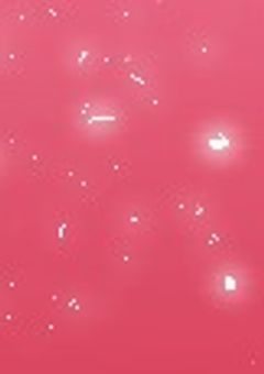 面倒事が増えました。