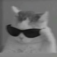 momoさんのアイコン画像