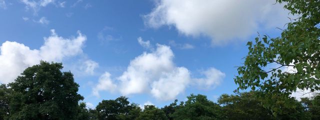 non-chanさんの壁紙画像