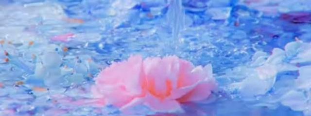 saku@低浮上・フォロバ100(フォロセしました)さんの壁紙画像