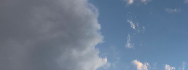 色白トマトさんの壁紙画像