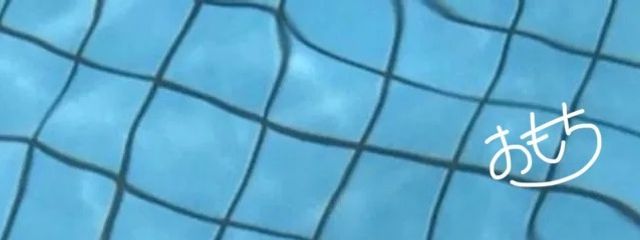 おもちさんの壁紙画像