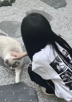拾ったのは猫のはずでした 。
