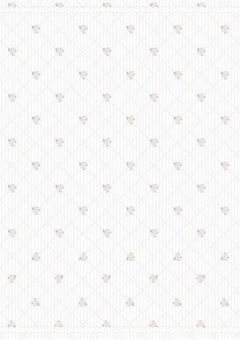 学パロ︰12 ＆ 43