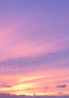 ハァンクラブ