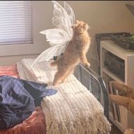 𝙼𝚘𝚘🐮さんのアイコン画像