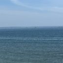 主ﾋﾟｰｰｰﾁｨ(｢🍑･ω･)｢🍑