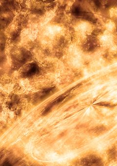 プロヒーローの弟は世界最恐で最狂のアサシンらしい