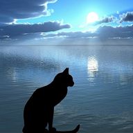 紅(ベニ)休止さんのアイコン画像