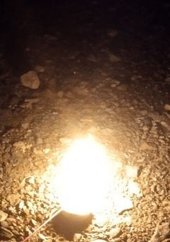 夏コラメンバーズとシェアハウス