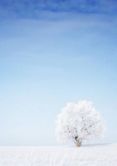 あの雪で、きみは空へと溶けてゆく