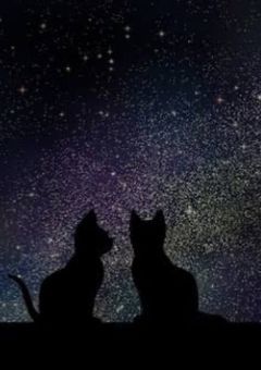 クロサギ【season2】