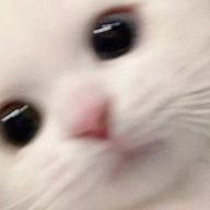 원さんのアイコン画像