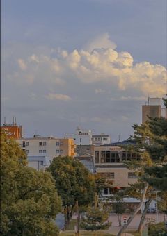 浮気されたのに溺愛されています .