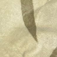 nonnonさんのアイコン画像