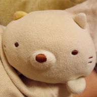 もちおさん🐹🍫さんのアイコン画像