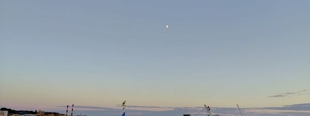 桜山　海龍さんの壁紙画像