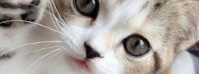 みりゅ 永enn教👁️🗨️💋 💙🐱💜さんの壁紙画像