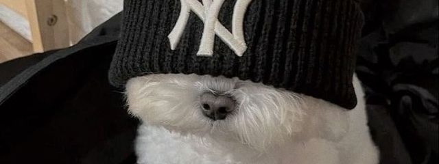 弘 美 さんの壁紙画像