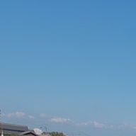 クマ🤍🌐さんのアイコン画像