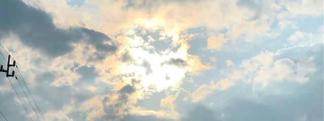 Malonさんの壁紙画像