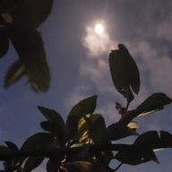 B-KONJYUさんのアイコン画像