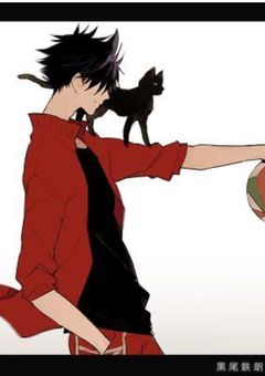 とさかくんとの恋模様