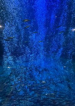 災厄の能力者たち