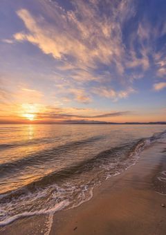 〜今日好きになりました〜俳優編