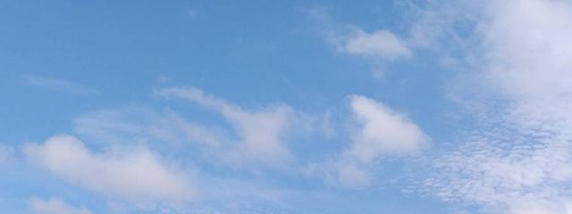 さくさんの壁紙画像
