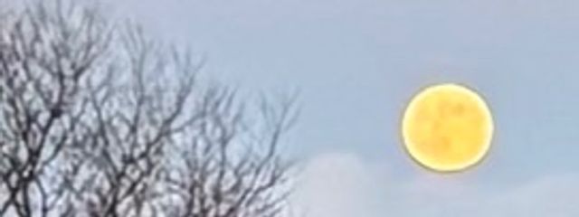 多忙＿Ｋさんの壁紙画像